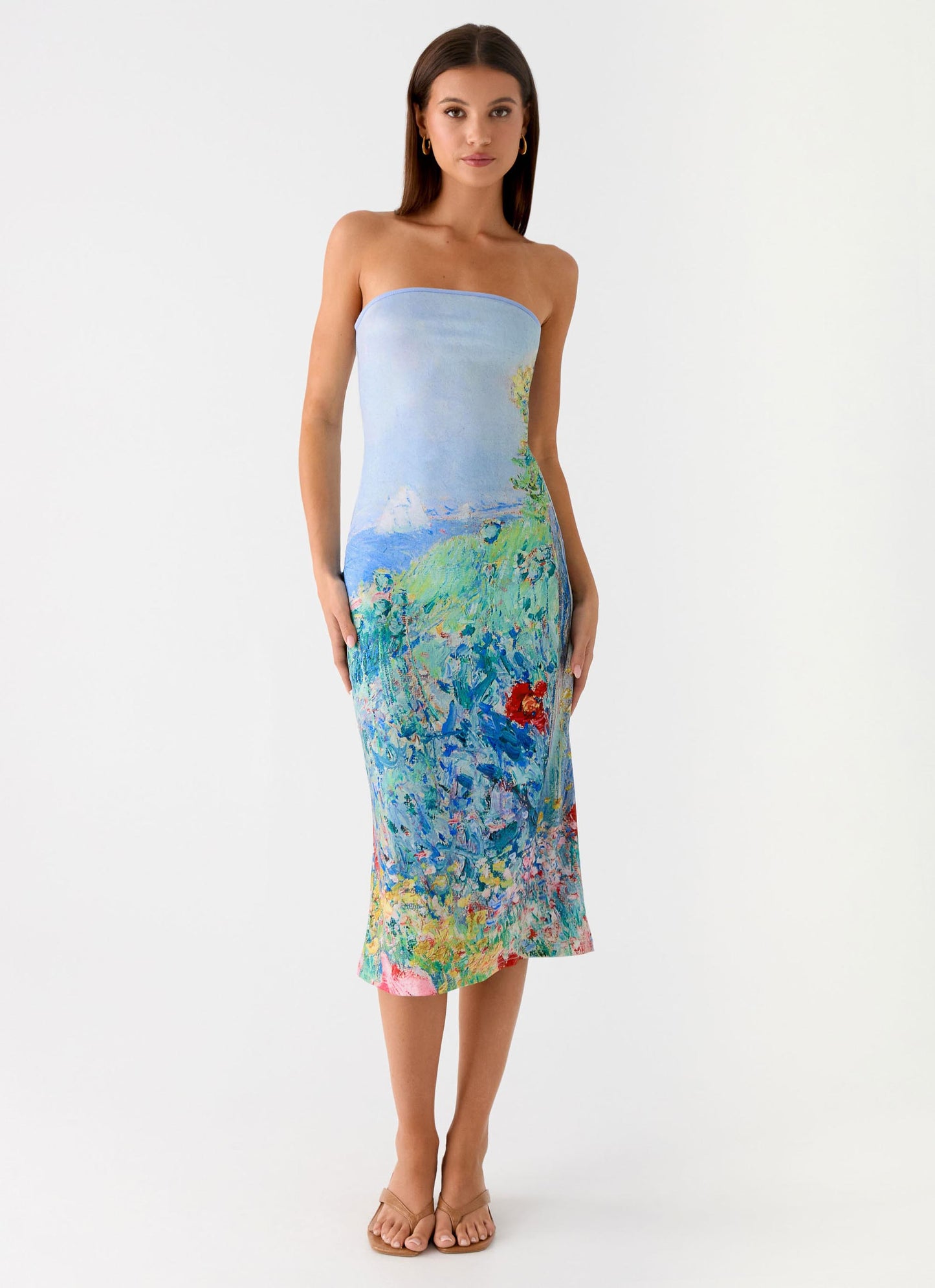 Niko Strapless Midi Dress - Spring Garden